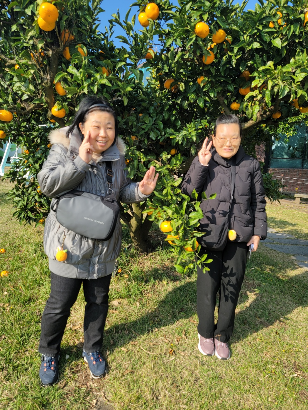 KakaoTalk_20241125_162958621_21